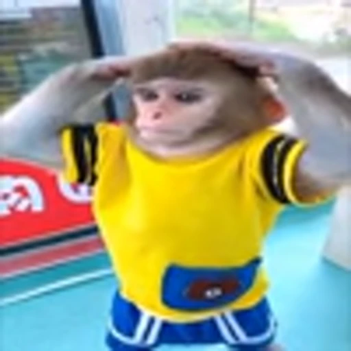 🪖 Эмодзи «monke +» для Telegram
