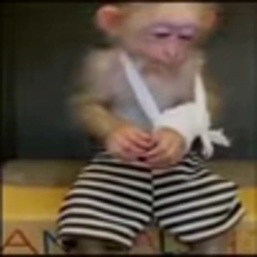😟 Эмодзи «monke +» для Telegram