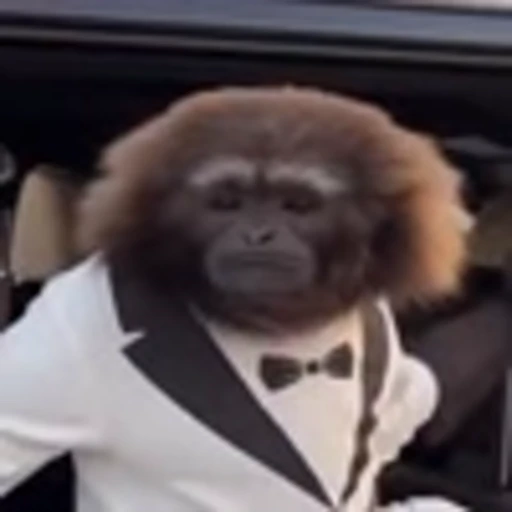 🤵 Эмодзи «monke +» для Telegram