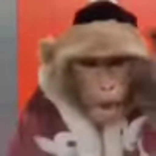 😡 Эмодзи «monke +» для Telegram