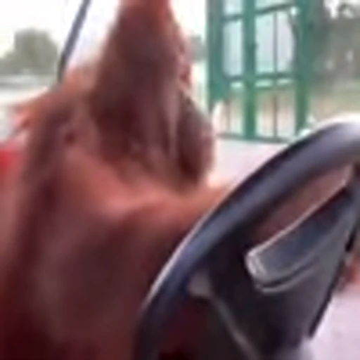🚘 Эмодзи «monke +» для Telegram