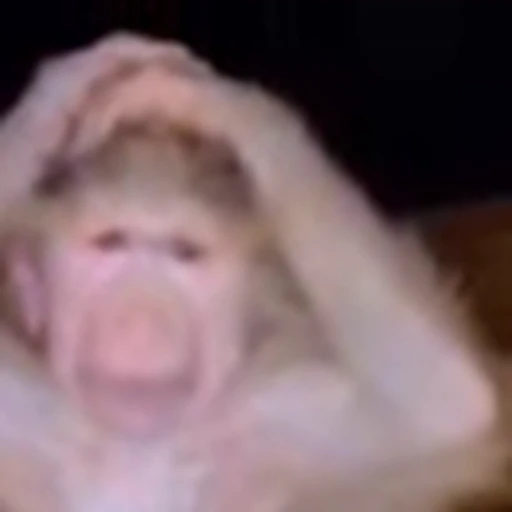 😵 Эмодзи «monke +» для Telegram