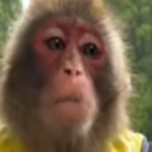 ☹️ Эмодзи «monke +» для Telegram