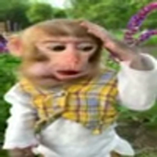 🧐 Эмодзи «monke +» для Telegram