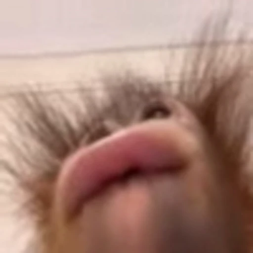 🙁 Эмодзи «monke +» для Telegram