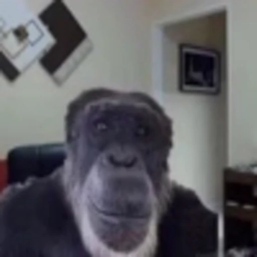 😐 Эмодзи «Monke» для Telegram