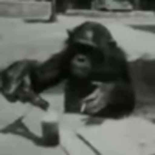 😔 Эмодзи «Monke» для Telegram