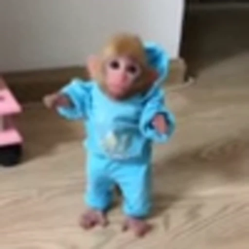 🐵 Эмодзи «Monke» для Telegram