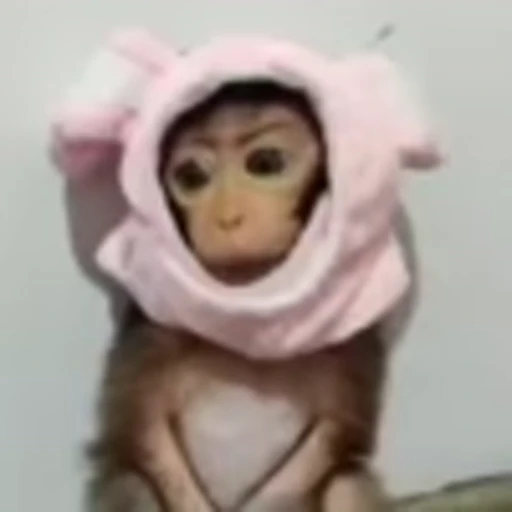 🐵 Эмодзи «Monke» для Telegram