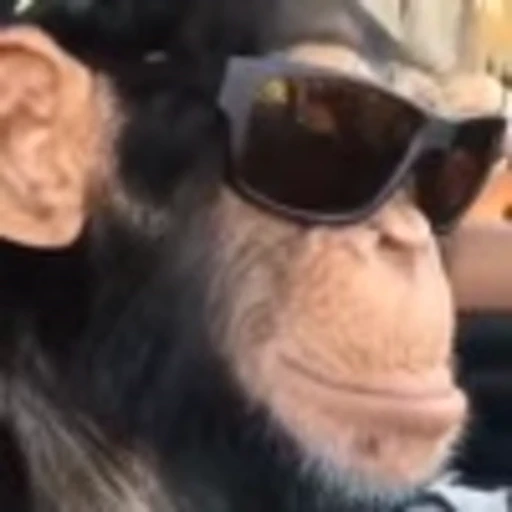 😎 Эмодзи «Monke» для Telegram