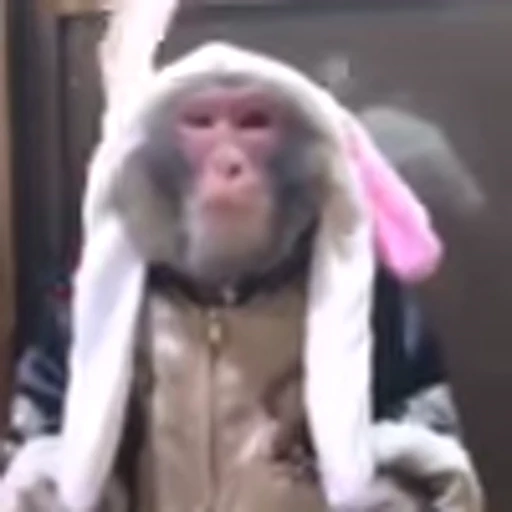 🙉 Эмодзи «Monke» для Telegram