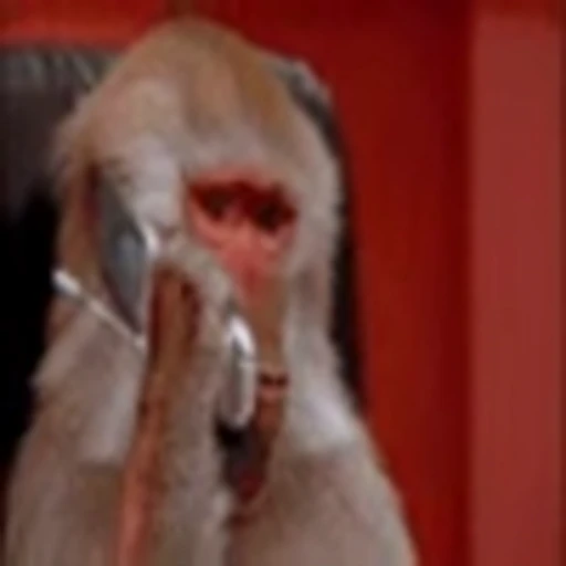 📞 Эмодзи «Monke» для Telegram