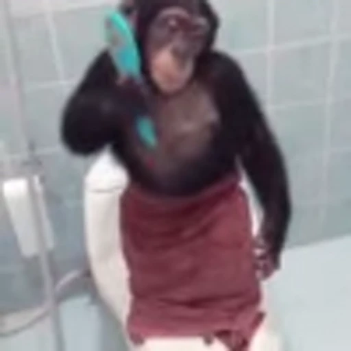 🚿 Эмодзи «Monke» для Telegram