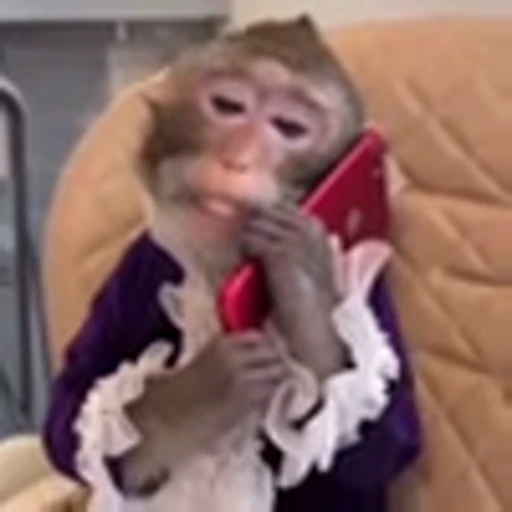 🌟 Эмодзи «Monke» для Telegram