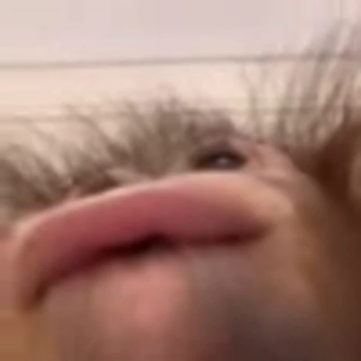 🤒 Эмодзи «Monke» для Telegram