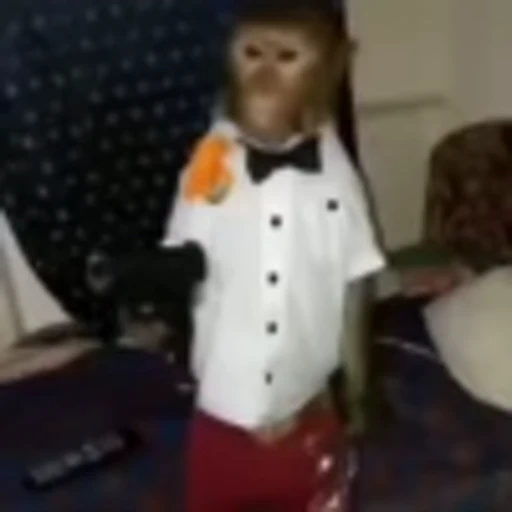 🐵 Эмодзи «Monke» для Telegram