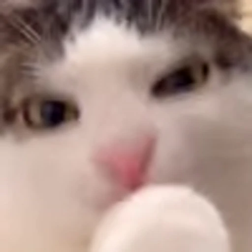 😛 Эмодзи «Luna Emoji» для Telegram