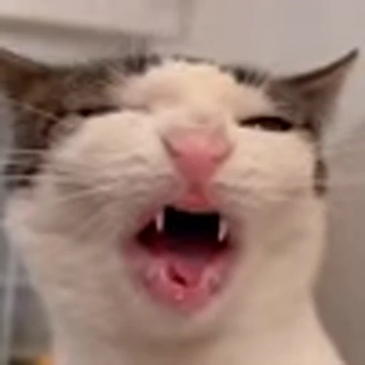 😋 Эмодзи «Luna Emoji» для Telegram