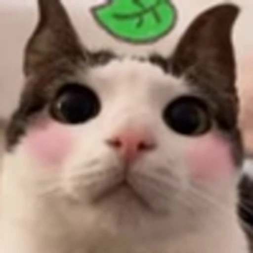 ☺️ Эмодзи «Luna Emoji» для Telegram