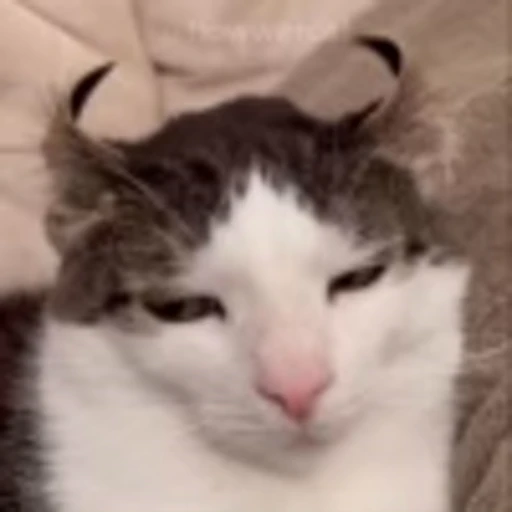 👹 Эмодзи «Luna Emoji» для Telegram