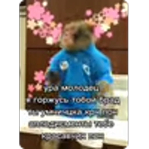 🌟 Эмодзи «Манки» для Telegram