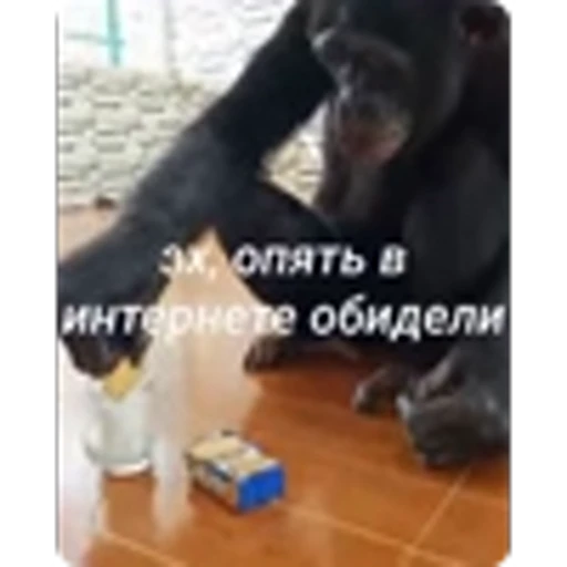 🌟 Эмодзи «Манки» для Telegram