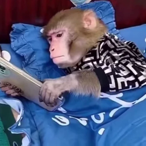 📱 Стикер «Monkeys Обезьяны» для Telegram