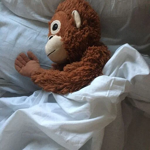 😴 Стикер «monkeys» для Telegram