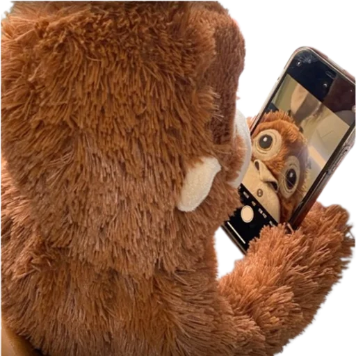 🤩 Стикер «monkeys» для Telegram