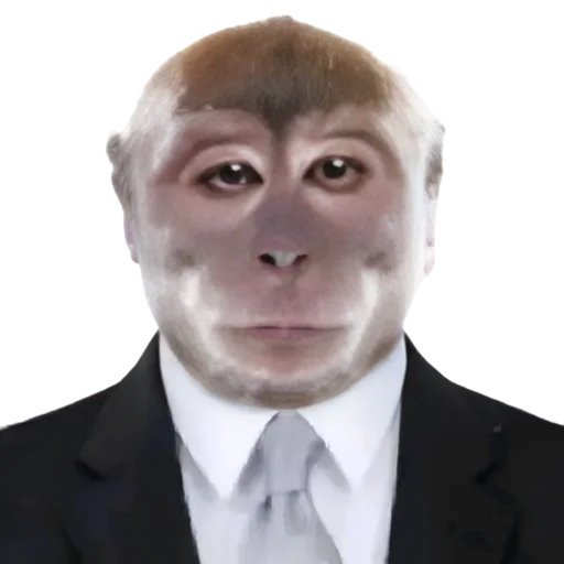 😎 Стикер «monkeys» для Telegram