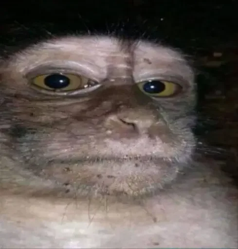 😐 Стикер «Monkey Memes» для Telegram