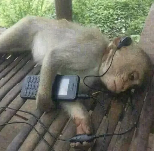 🛏️ Стикер «Monkey Memes» для Telegram