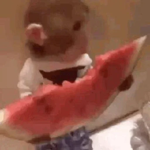 🍑 Стикер «Monkey Memes» для Telegram