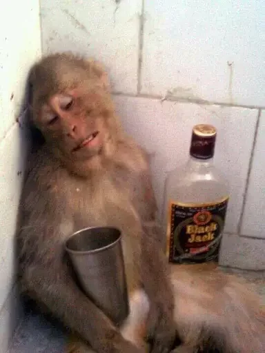 🍾 Стикер «Monkey Memes» для Telegram