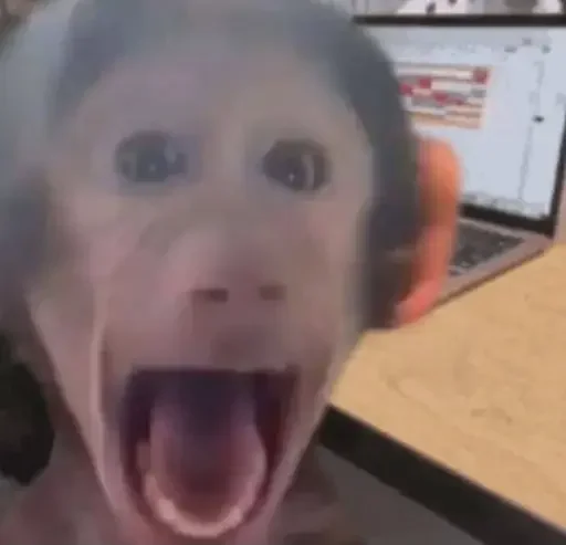 😳 Стикер «Monkey Memes» для Telegram