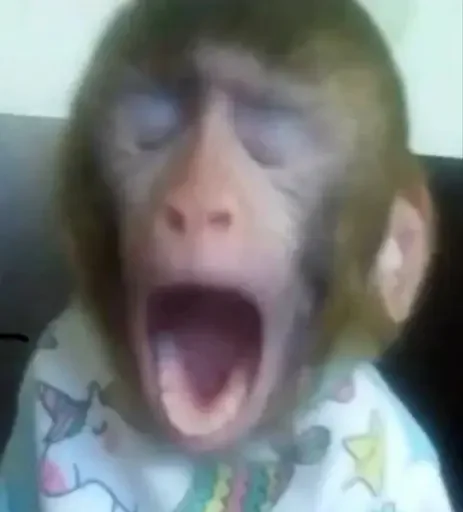 😴 Стикер «Monkey Memes» для Telegram