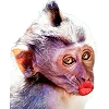 🐒 Эмодзи «Обезьяны» для Telegram