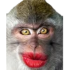 🐒 Эмодзи «Обезьяны» для Telegram