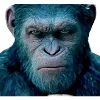 🐒 Эмодзи «Обезьяны» для Telegram