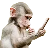 🐒 Эмодзи «Обезьяны» для Telegram