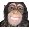🐒 Эмодзи «Обезьяны» для Telegram
