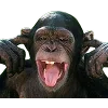 🐒 Эмодзи «Обезьяны» для Telegram