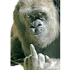 🐒 Эмодзи «Обезьяны» для Telegram