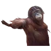🐒 Эмодзи «Обезьяны» для Telegram