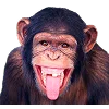🐒 Эмодзи «Обезьяны» для Telegram