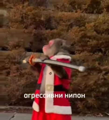 😠 Стикер «обезьяни пон» для Telegram