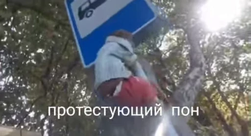 😡 Стикер «обезьяни пон» для Telegram