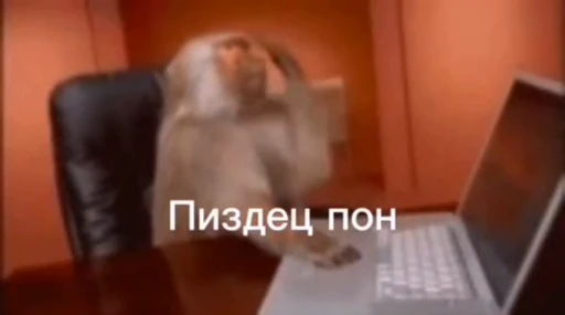 🤔 Стикер «обезьяни пон» для Telegram