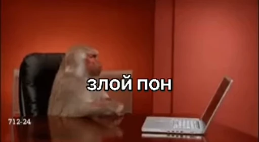 🤬 Стикер «обезьяни пон» для Telegram