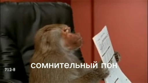 😑 Стикер «обезьяни пон» для Telegram